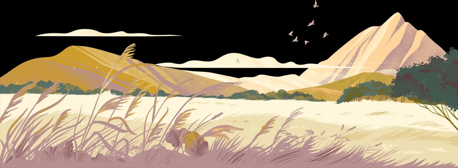 Banner background